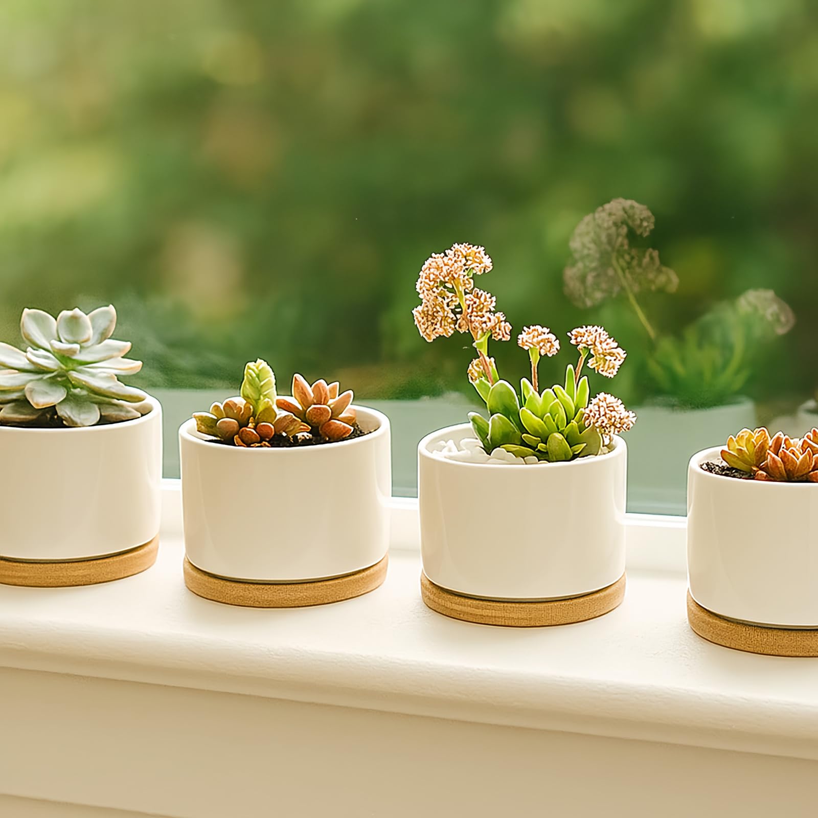 ZOUTOG pots with succulents and soil ready for display.