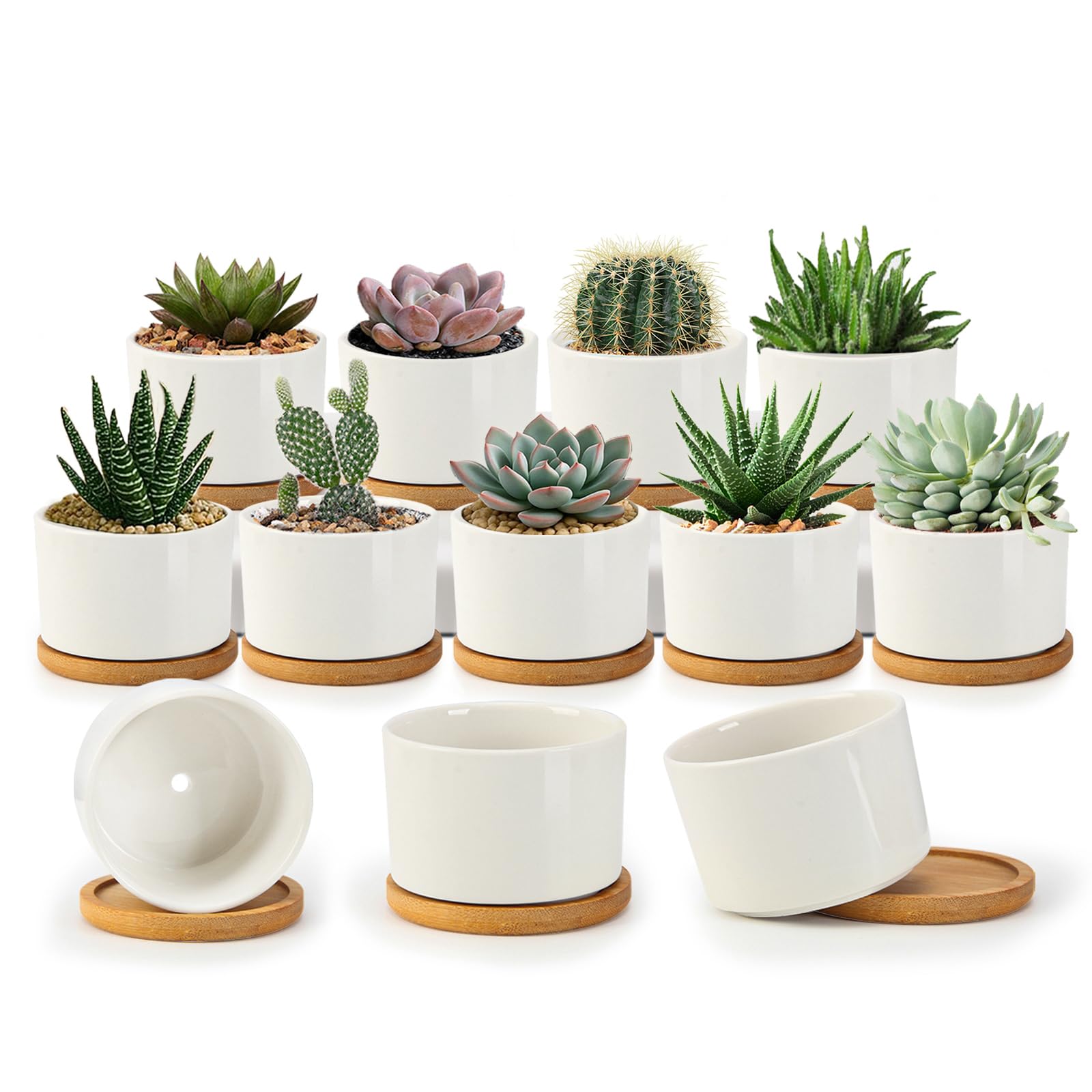 ZOUTOG succulent pots 3.1 inch with drainage for indoor plants