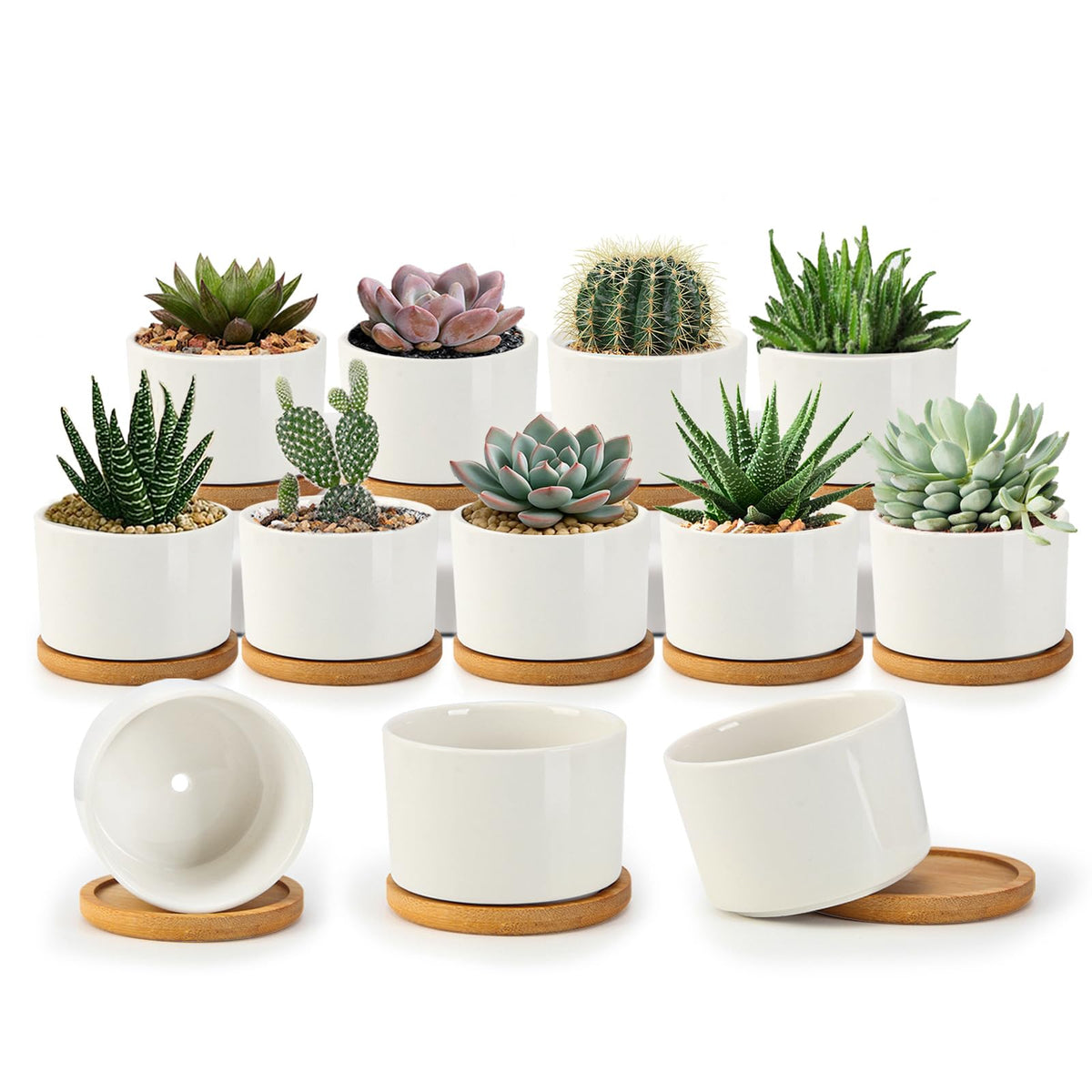 ZOUTOG succulent pots 3.1 inch with drainage for indoor plants