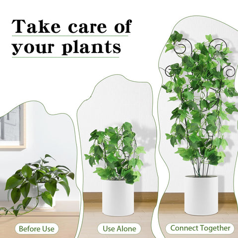 Indoor and outdoor use with ivy, pothos, monstera and more