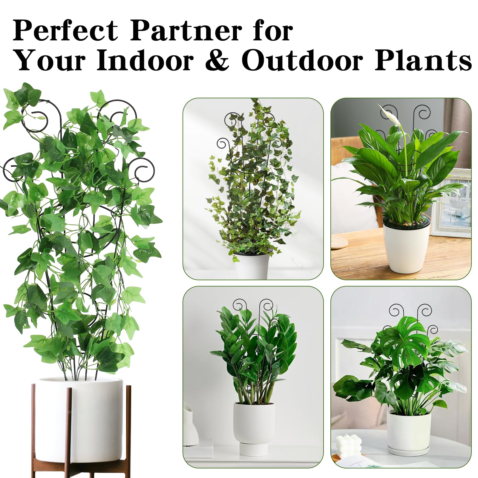 Two-stand configuration lets one plant share two trellises