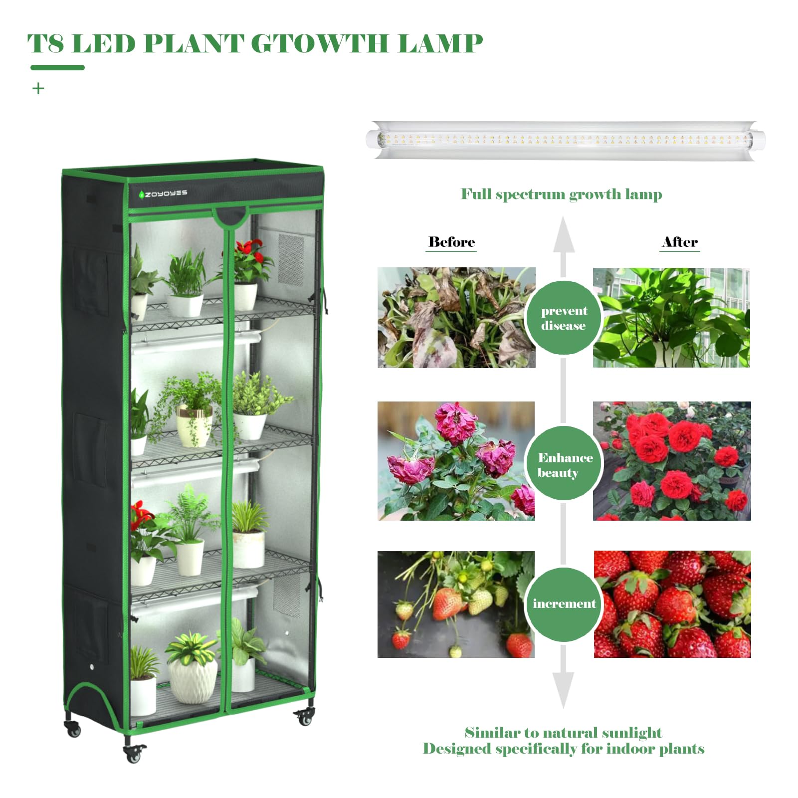 ZOYOYES fully enclosed tent with clear observation front for monitoring plants
