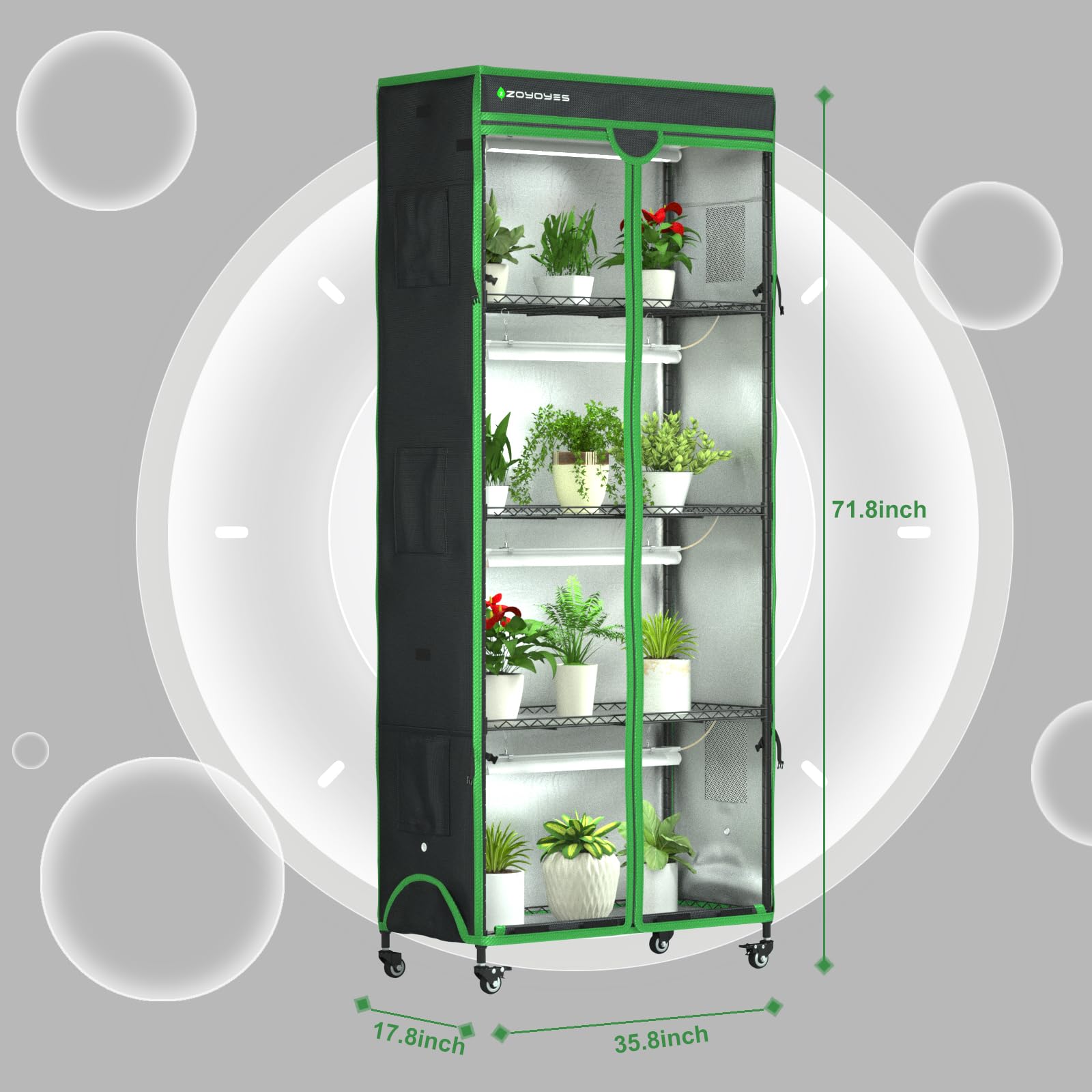 ZOYOYES T8 LED grow lights setup for vibrant plant growth from seedlings to flowering