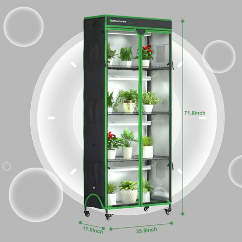 ZOYOYES T8 LED grow lights setup for vibrant plant growth from seedlings to flowering