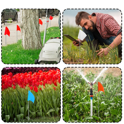 Blue Zozen marking flags for survey and equipment placement