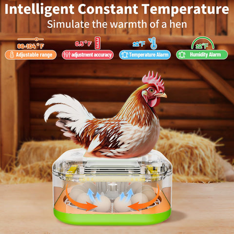 ZOZOO incubator 360-degree-visibility provides clear observation of the hatch process.