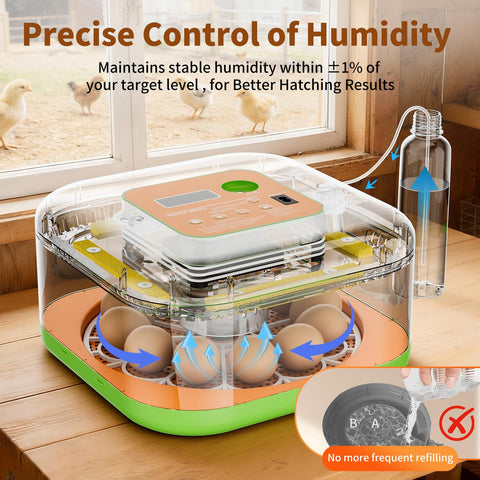 ZOZOO incubator auto-water-refill maintains consistent humidity for better development.