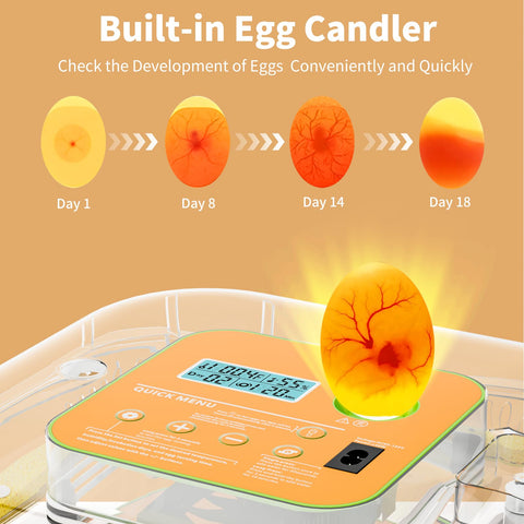 ZOZOO incubator built-in-egg-candler lets you monitor embryo progress without opening.