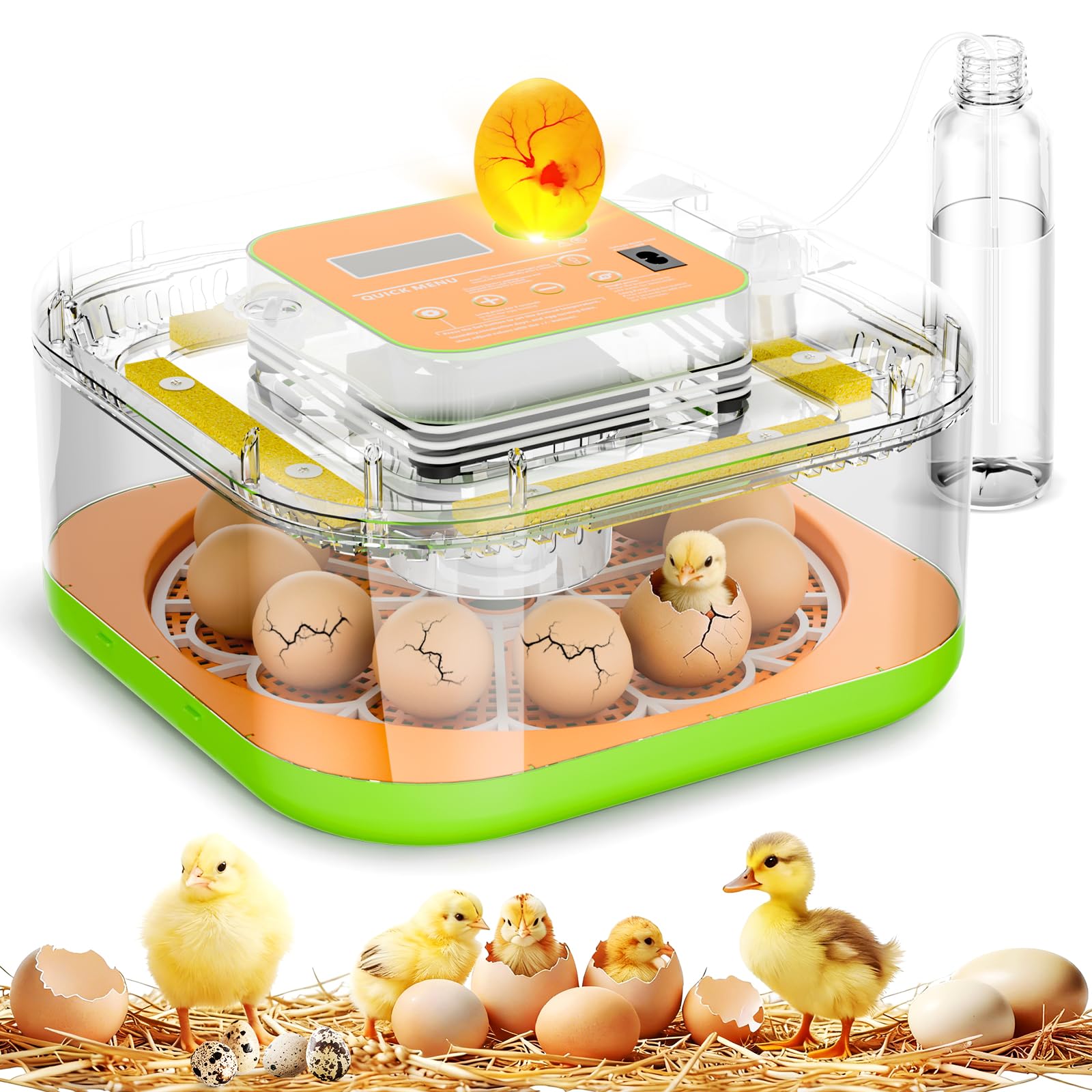 ZOZOO incubator hatching eggs set-up for home use with easy monitoring.