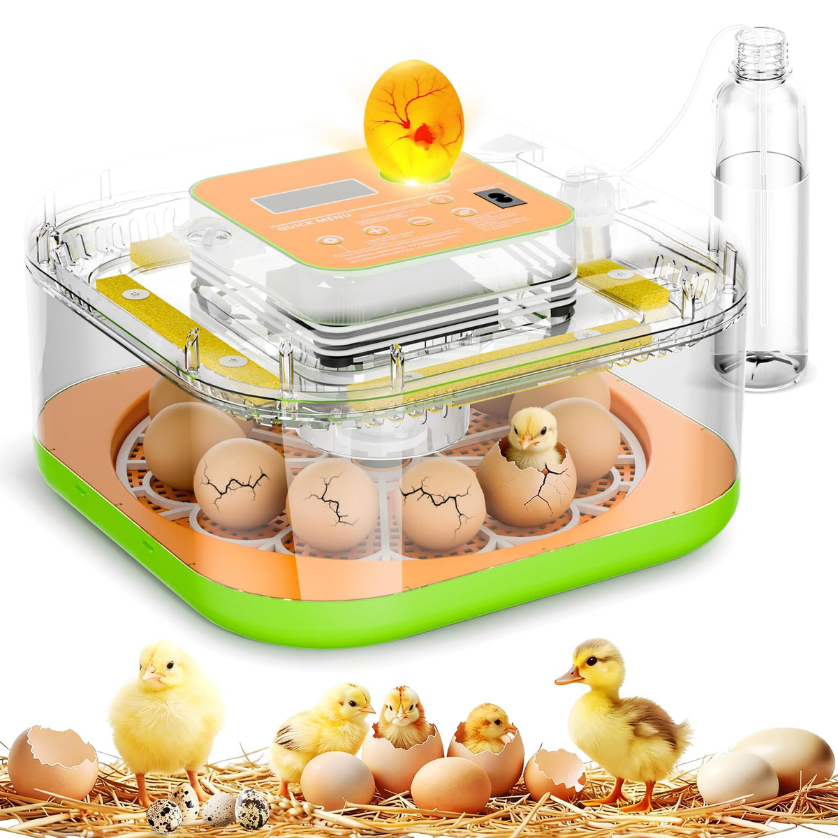 ZOZOO incubator hatching eggs set-up for home use with easy monitoring.