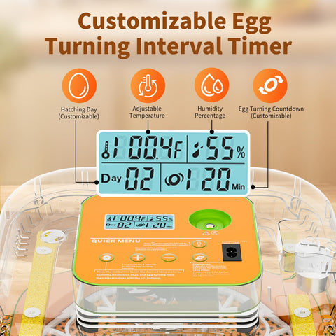 ZOZOO incubator temperature-control display shows stable warmth for reliable hatching.