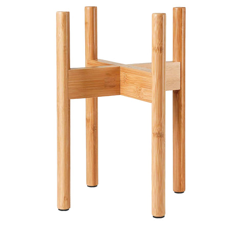 ZPirates modern mid-century style complements indoor greenery