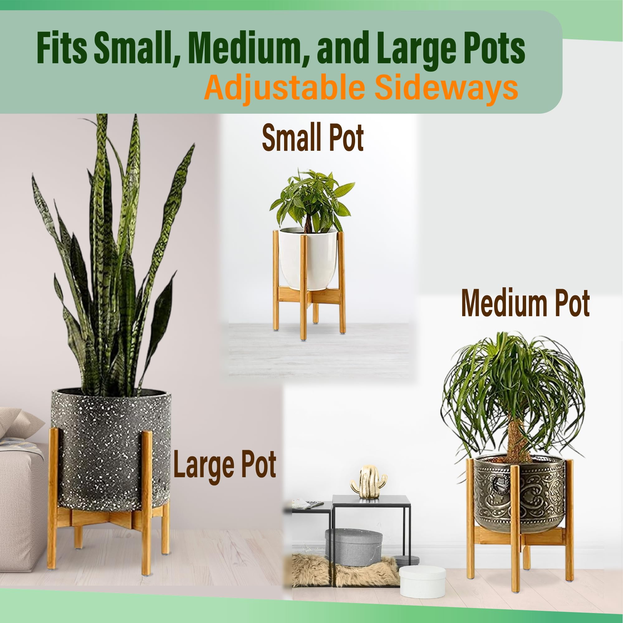 ZPirates plant stand shows raised height for elevated plant display