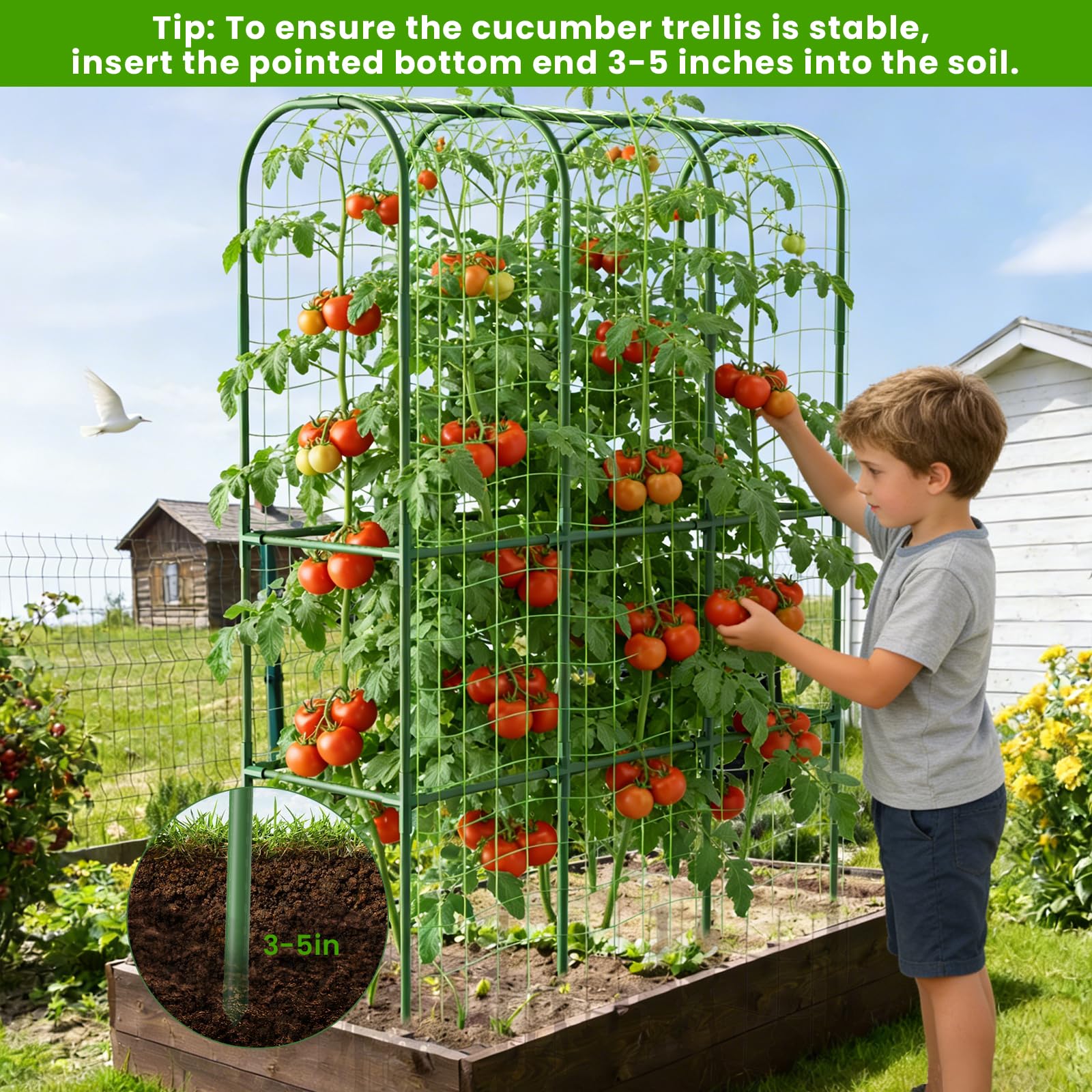 ZPMOCKAQ climbing plants support boosts light exposure and air circulation