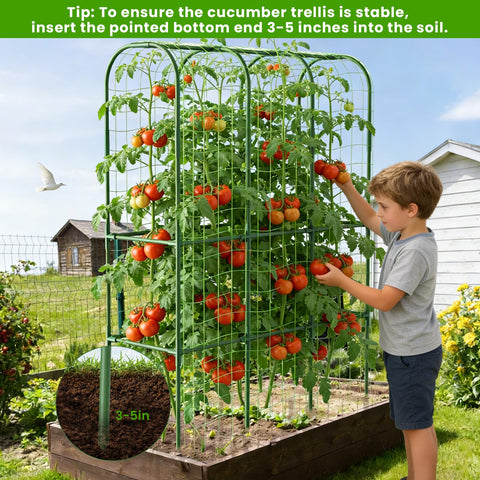ZPMOCKAQ climbing plants support boosts light exposure and air circulation
