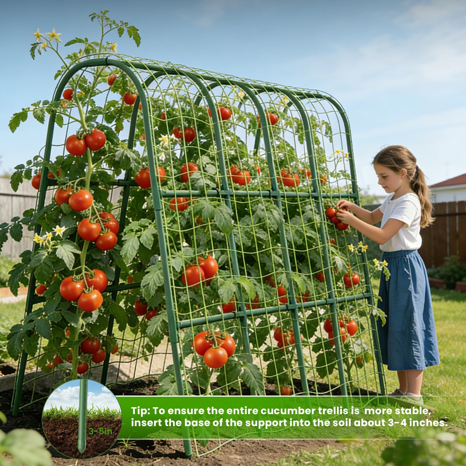 ZPMOCKAQ dimensions 64in x 32in x 48in for raised beds