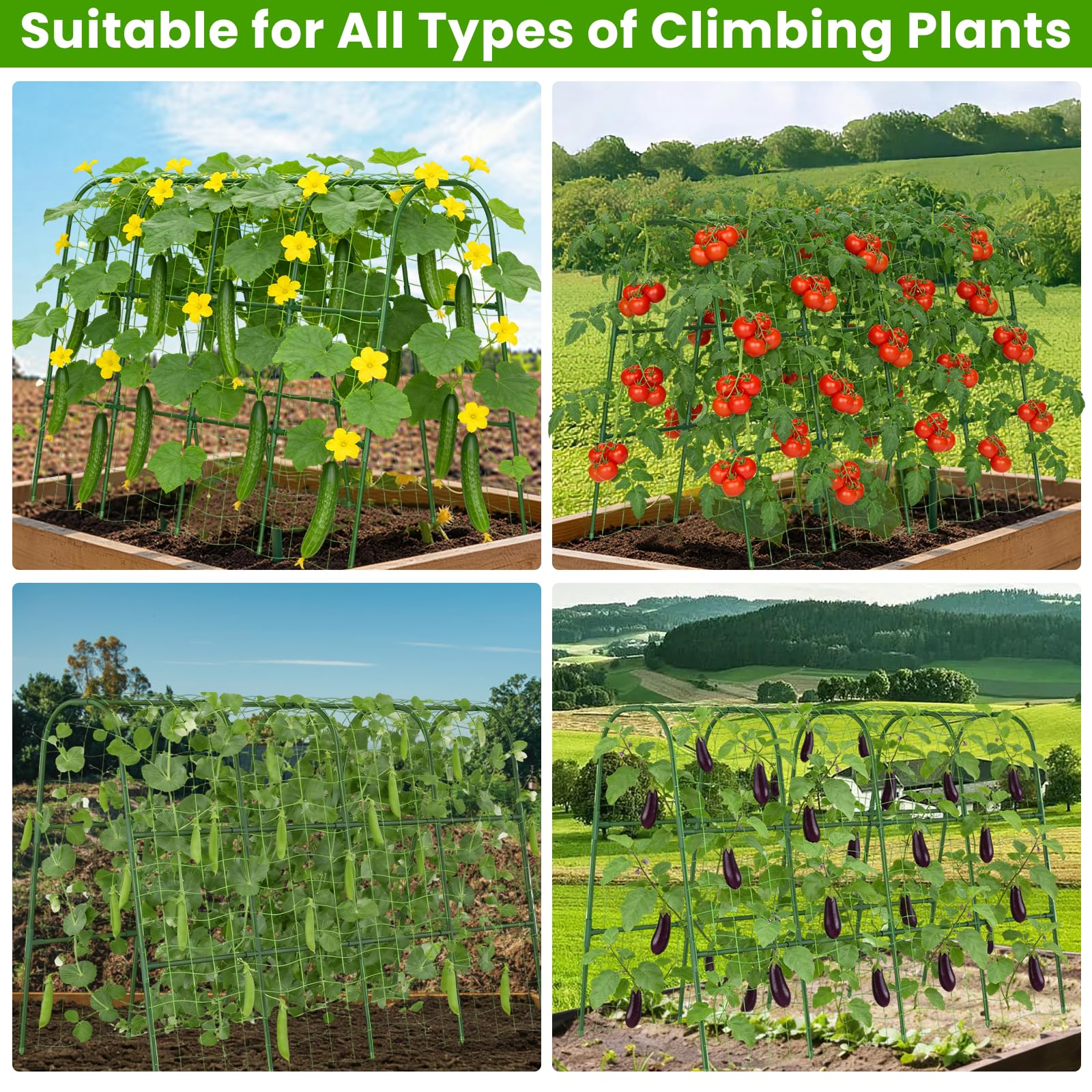 ZPMOCKAQ versatile plant support for cucumbers, beans, peas and more