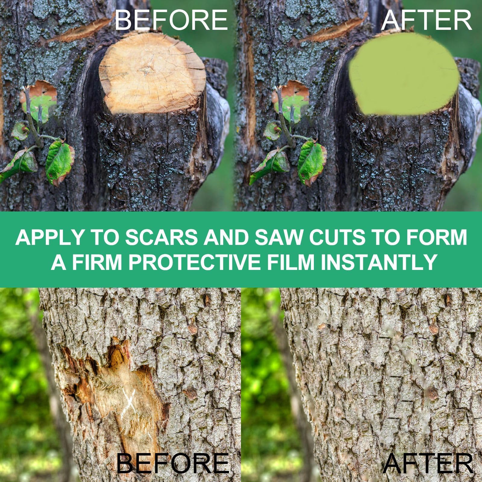 Bonsai pruning scene with Zriechs Tree Wound Sealer protects wounds.