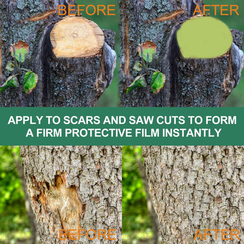 Zriechs tree wound sealer brush application on pruning site for even coverage