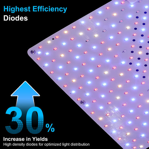 ZRYBOMY high-efficiency diode layout boosts red and blue light yields.