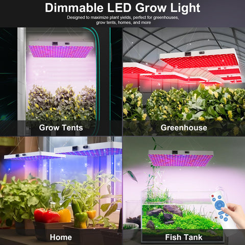ZRYBOMY optimized red and blue spectrum aids vegetative growth and flowering.