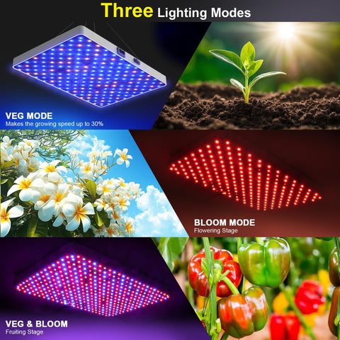 ZRYBOMY three lighting modes support veg, bloom, or both growth stages.