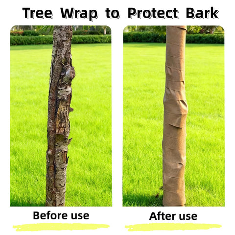 Biodegradable paper wrap shows moisture retention around a tree trunk.