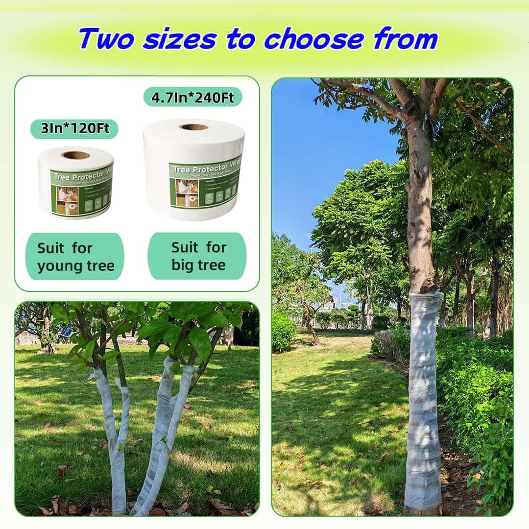 ZSlactp small-tree wrap ideal for sapling protection.