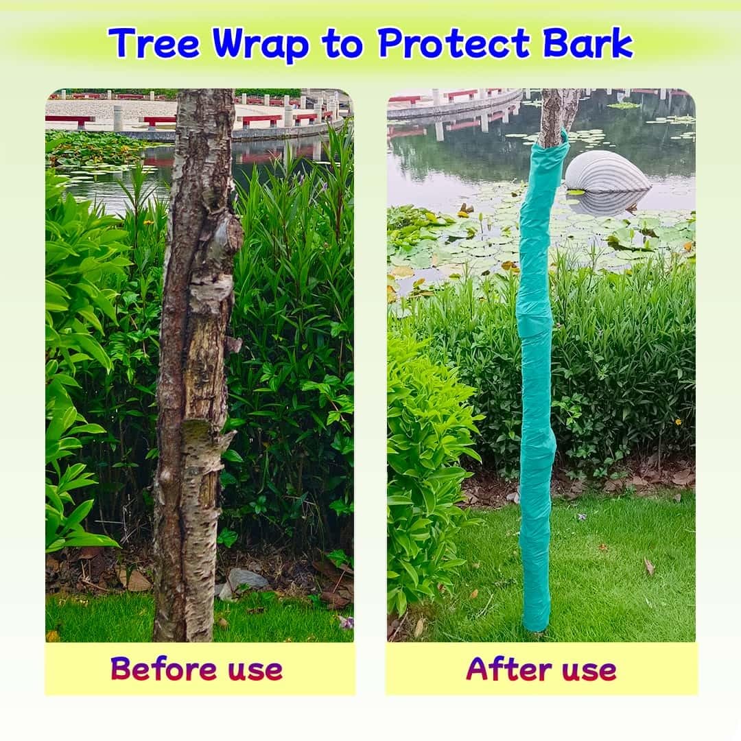 ZSlactp sunscald prevention support during cold seasons.