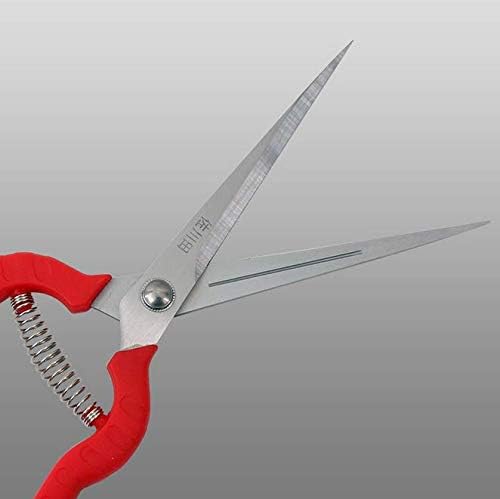 Zsling bonsai pruning tool enables precise cuts for delicate foliage