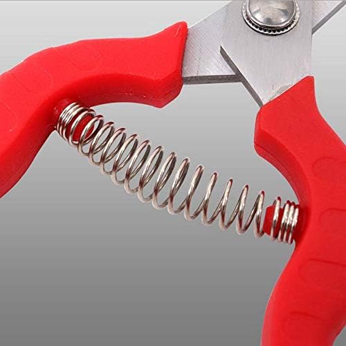 Zsling fruit tree pruning tool with safety lock for secure storage
