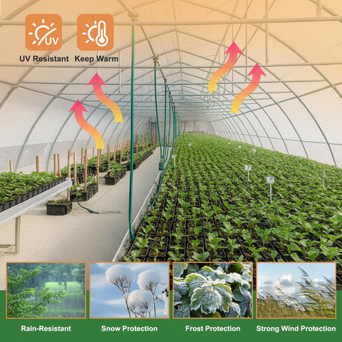 ZSLTLDU greenhouse cover high light transmission for even sunlight.