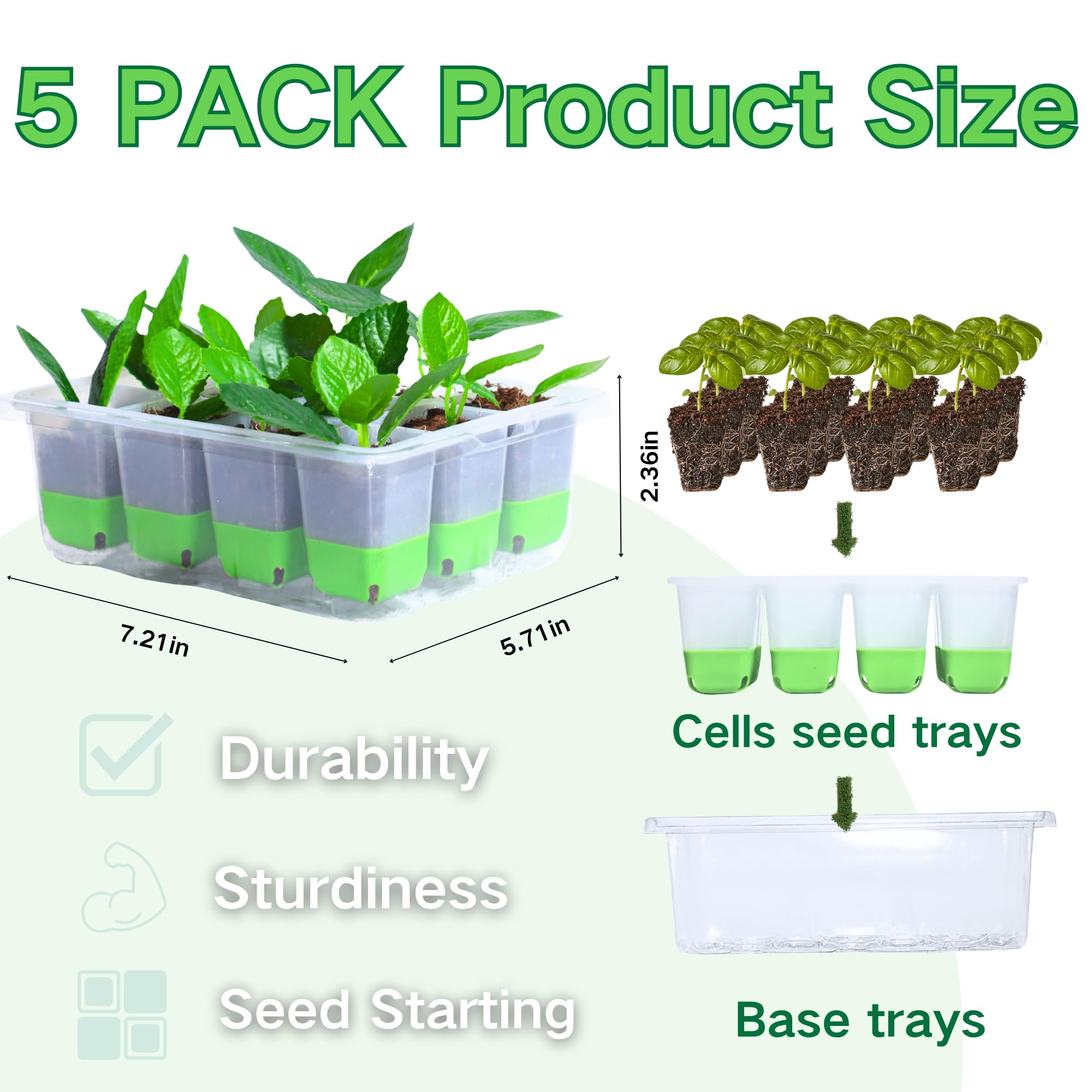 ZSYWODFO seed starter tray with 12 cells per tray promotes even germination.