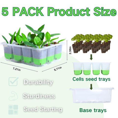 ZSYWODFO seed starter tray with 12 cells per tray promotes even germination.