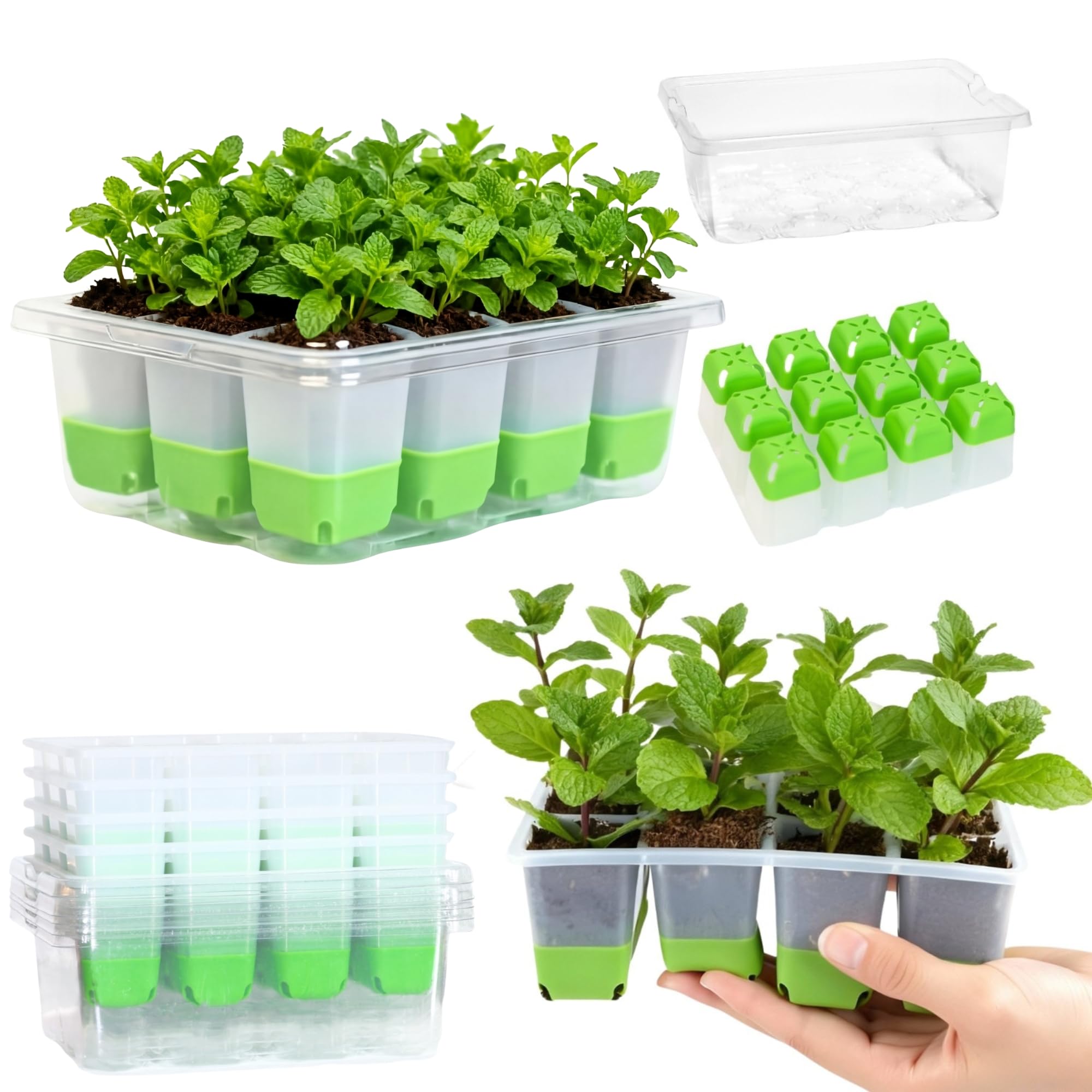ZSYWODFO seed starter tray 5-pack with 60 cells supports efficient indoor seed starting.