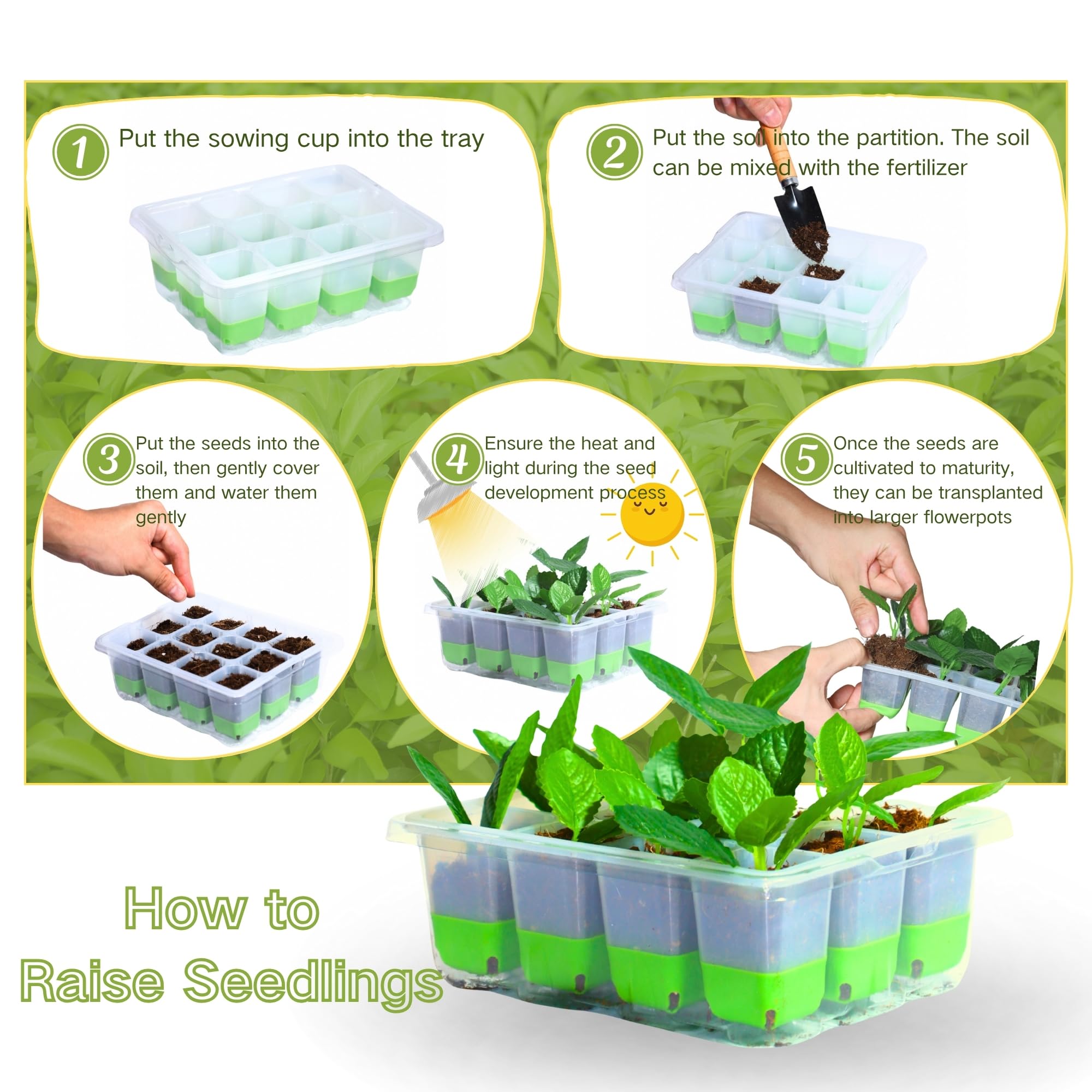ZSYWODFO seed starter tray base collects excess water for healthy roots.