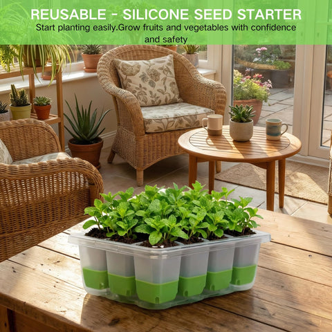 ZSYWODFO seed starter set includes cotton fabric for rapid seed growth.