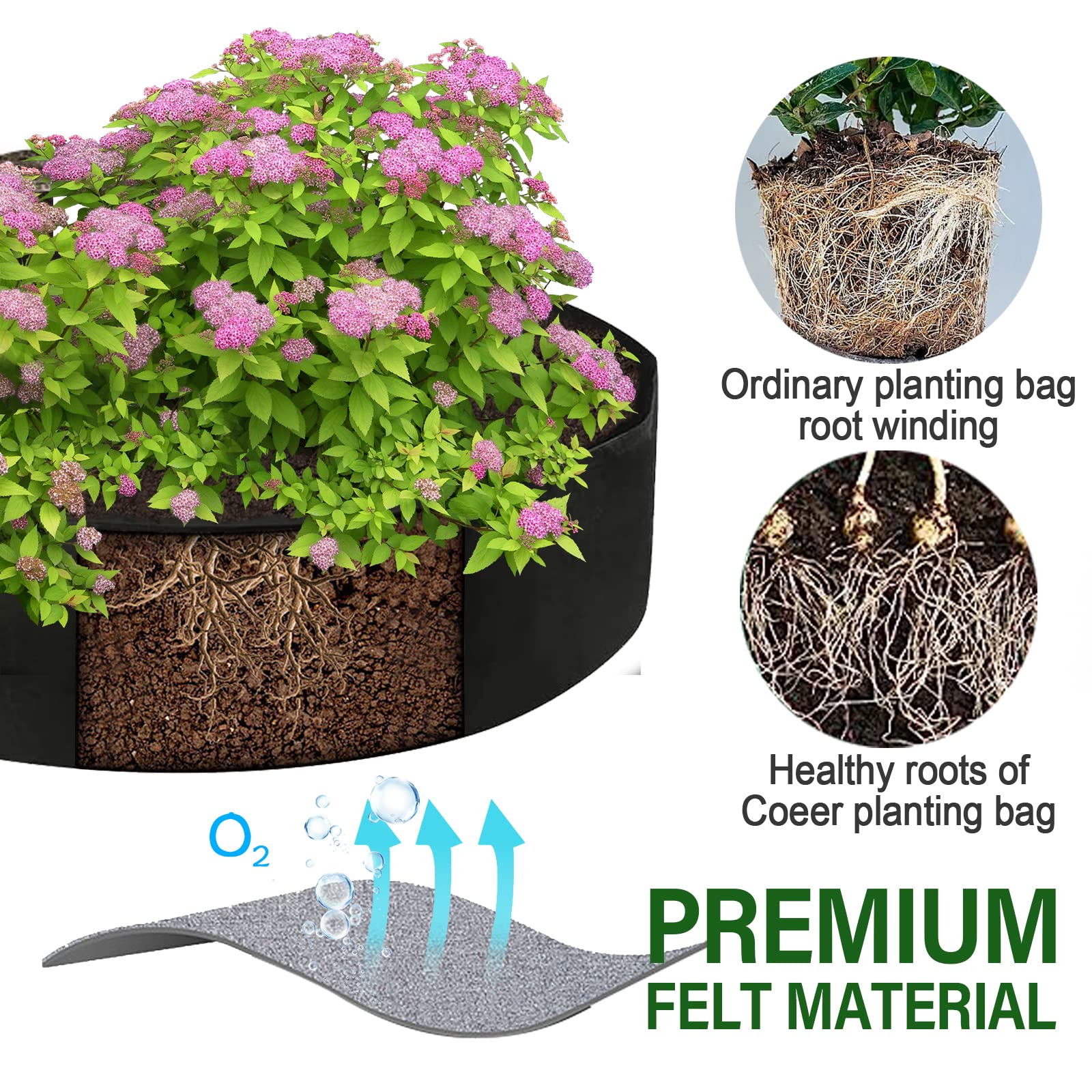 ZtohPyo 360-degree ventilation supports strong root development and moisture balance.