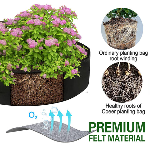 ZtohPyo 360-degree ventilation supports strong root development and moisture balance.