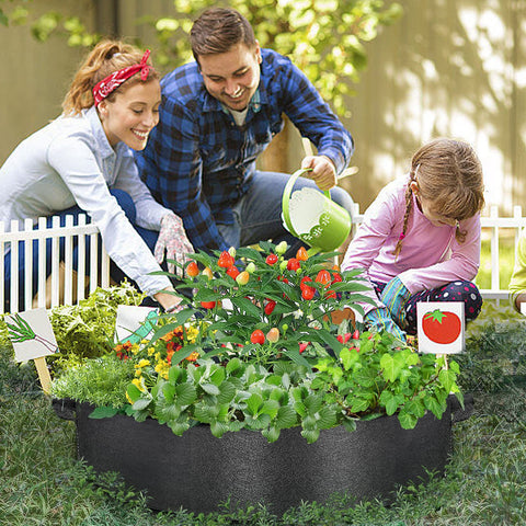 ZtohPyo ideal for balconies, patios, and backyards for versatile gardening.