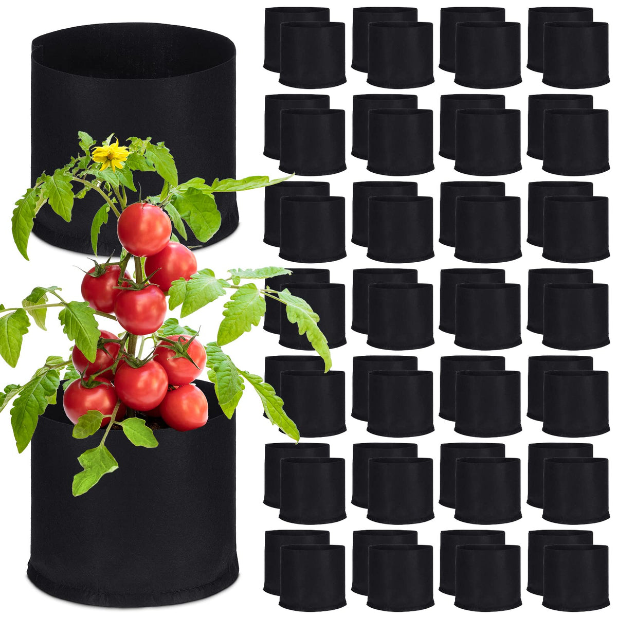 Zubebe 60-pack 5 gallon plant grow bags for versatile gardening