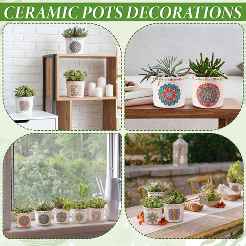 Zubebe planters suitable for desks or shelves as stylish decor.