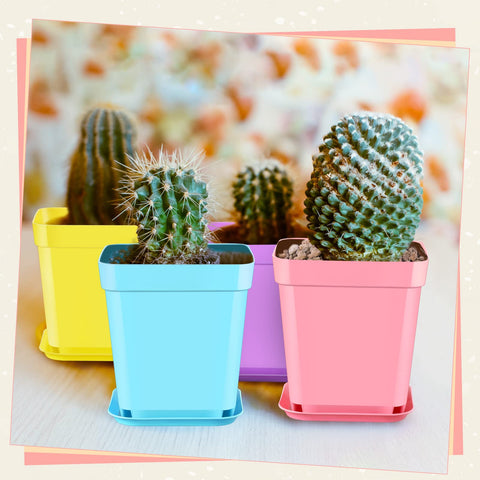 Zubebe pots with drainage holes support healthy seedling drainage