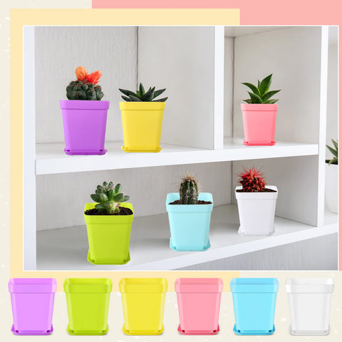 Zubebe seedling pots in use with saucers on workbench
