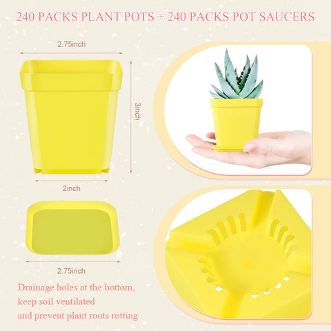 Zubebe square pot saucers in matching colors for spill-free gardening
