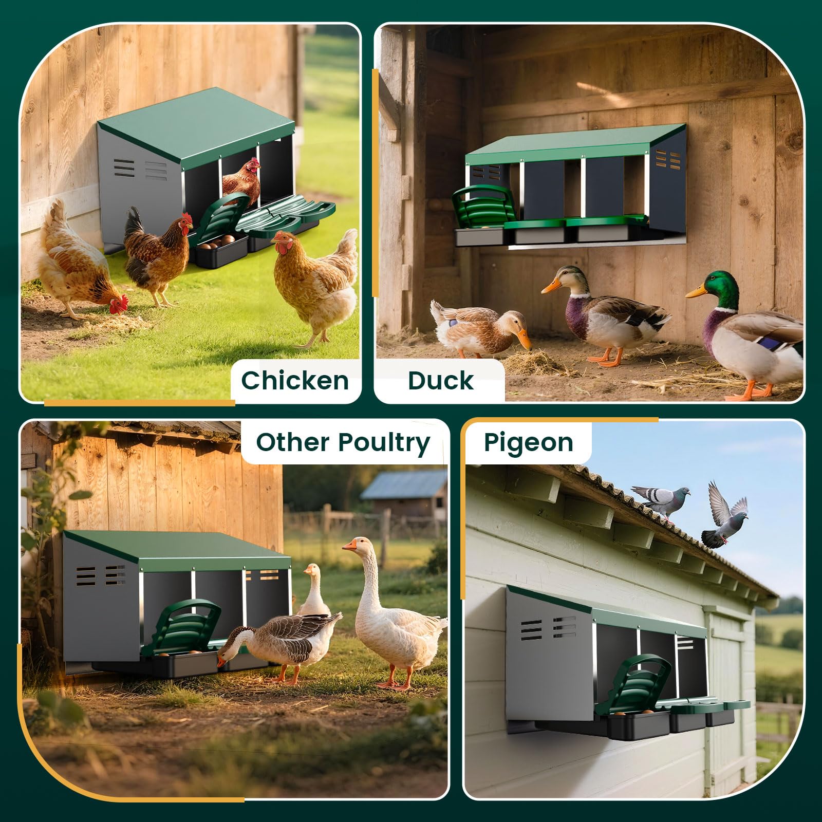 ZUCIRE easy-to-clean design with removable drawer simplifies coop upkeep.
