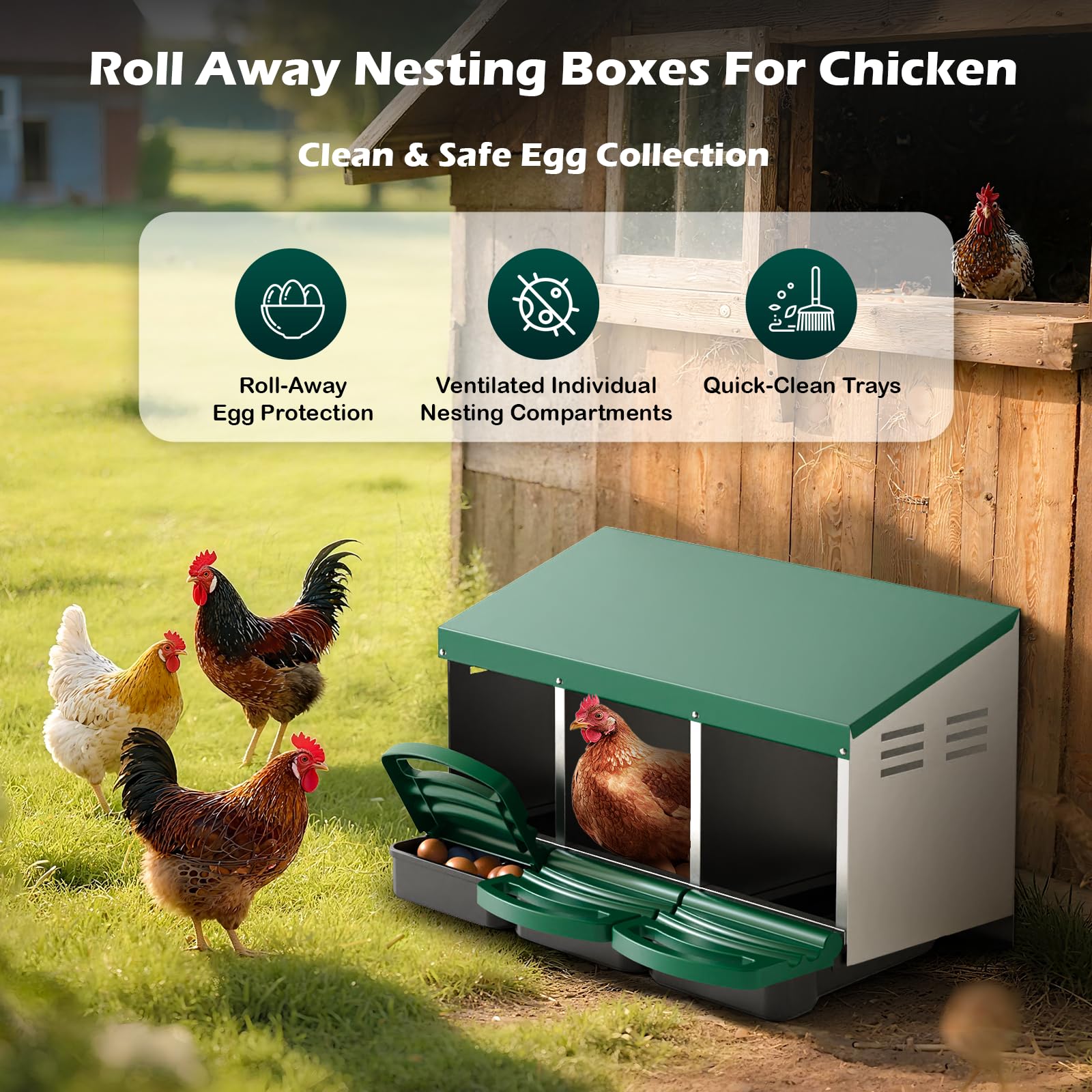 ZUCIRE nesting box with three nests and green coating creates a calm laying area.