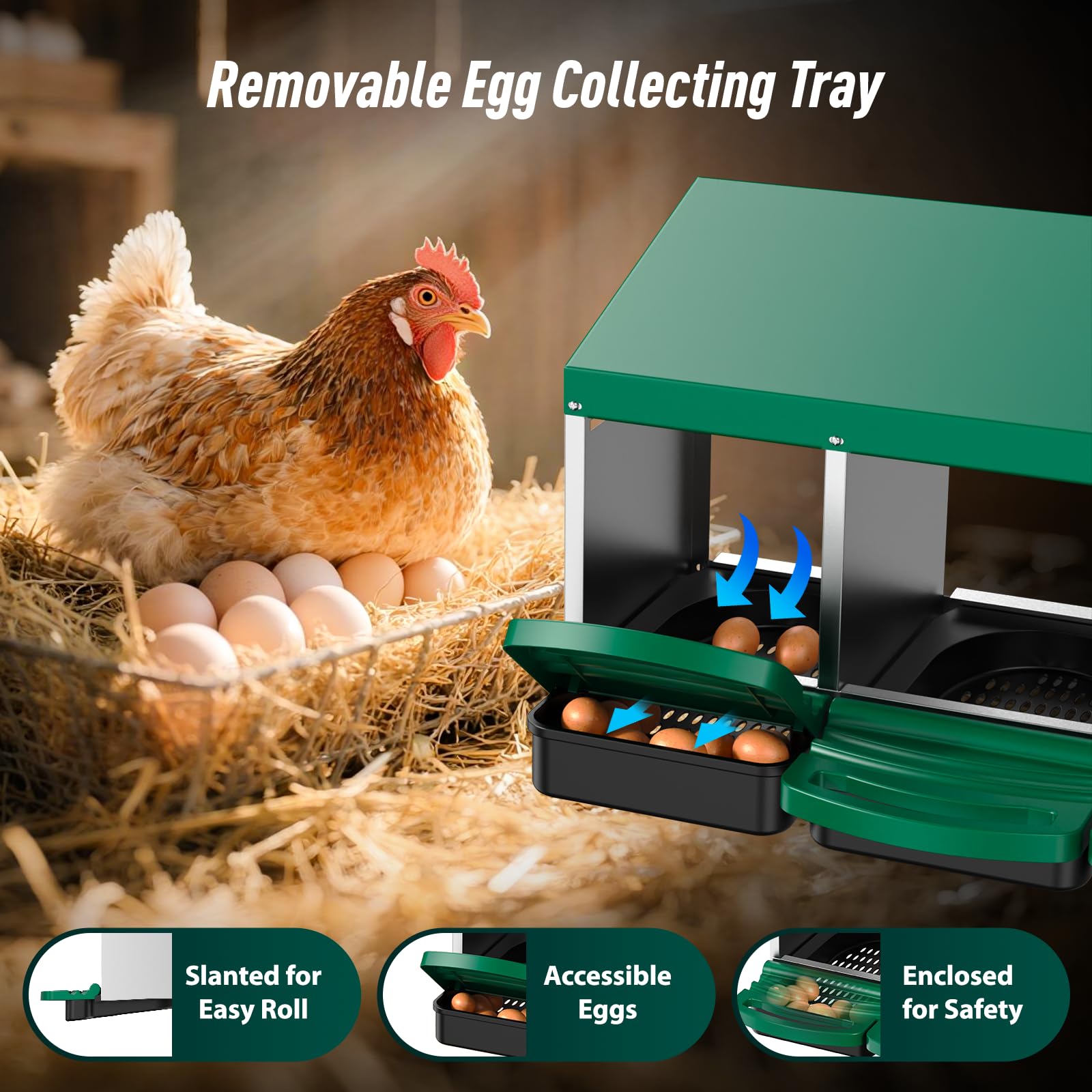 ZUCIRE galvanized steel nest delivers durable, long-lasting coop support.