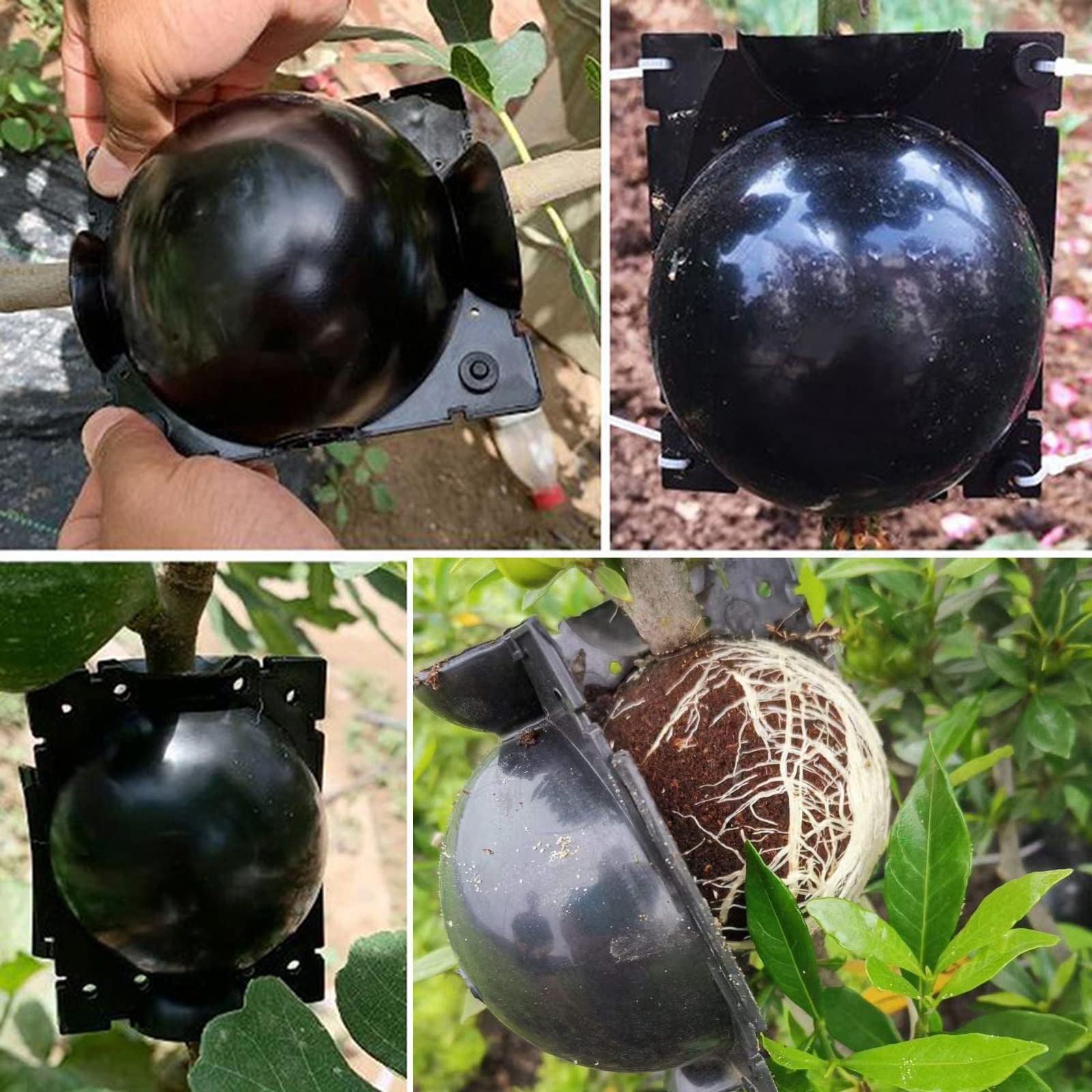 ZUCKBOX reusable rooting ball used with nylon ties for secure installation
