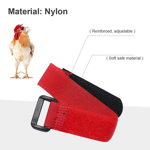 ZUDKSUY soft, non-toxic nylon collar designed for humane poultry use.